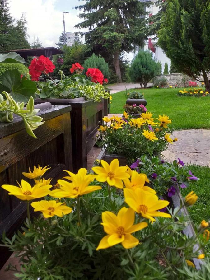 Apartmani Jokic Zlatibor Exterior photo